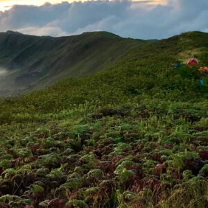 Tour Volcán Sierra Negra y Volcán Chico (Caminata)