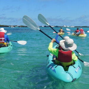 Tour Tintoreras Kayak