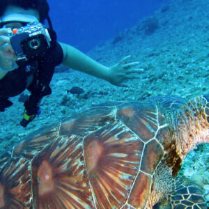 Tour Isla Tortuga (Avistamiento de aves, snorkel y pesca)