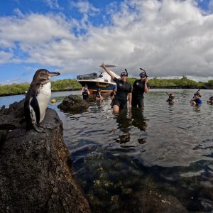 Tour Los Túneles / El Finado – Cabo Rosa (Snorkel y caminata)