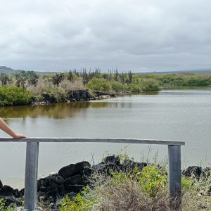 Tour Los Humedales/ Centro de Crianza (Caminata y ciclismo)