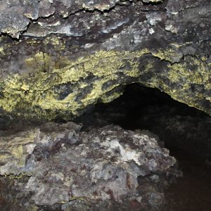 Cueva Sucre, Mirador el Mango y Campo Duro (Caminata, observacion de flora y fauna)