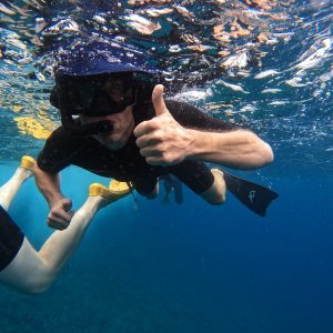 Tour Islote Tortuga, Cuatro Hermanos, Loberia Grande  (Avistamiento de aves, snorkel y pesca)