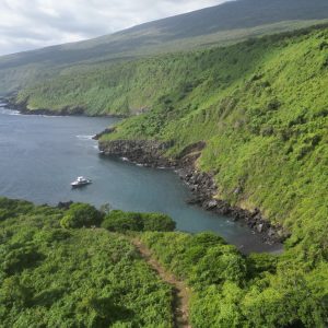 Tour Caleta Iguana  (Avistamiento de aves y snorkel)